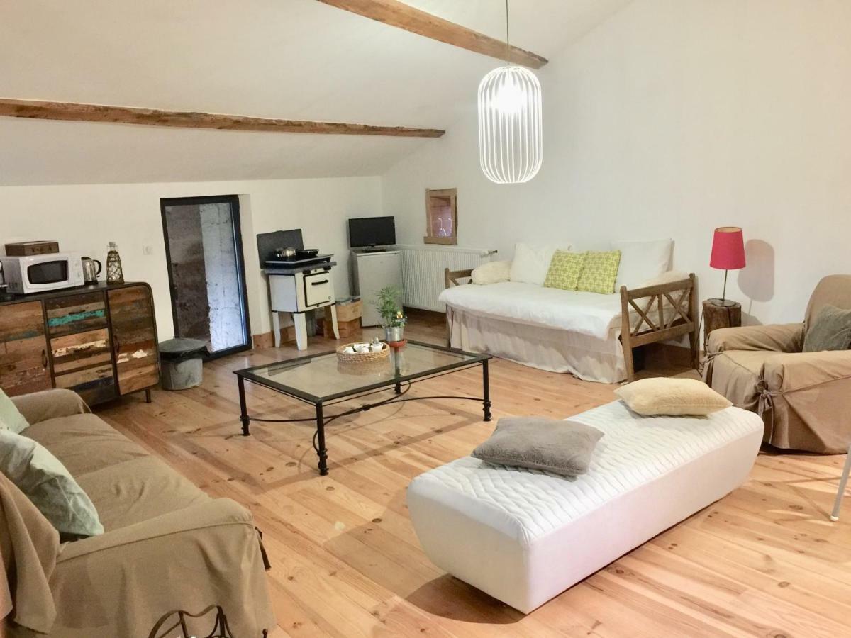 Magnificent Renovated Farmhouse - 10 Min A7 - Apartman Anneyron Kültér fotó